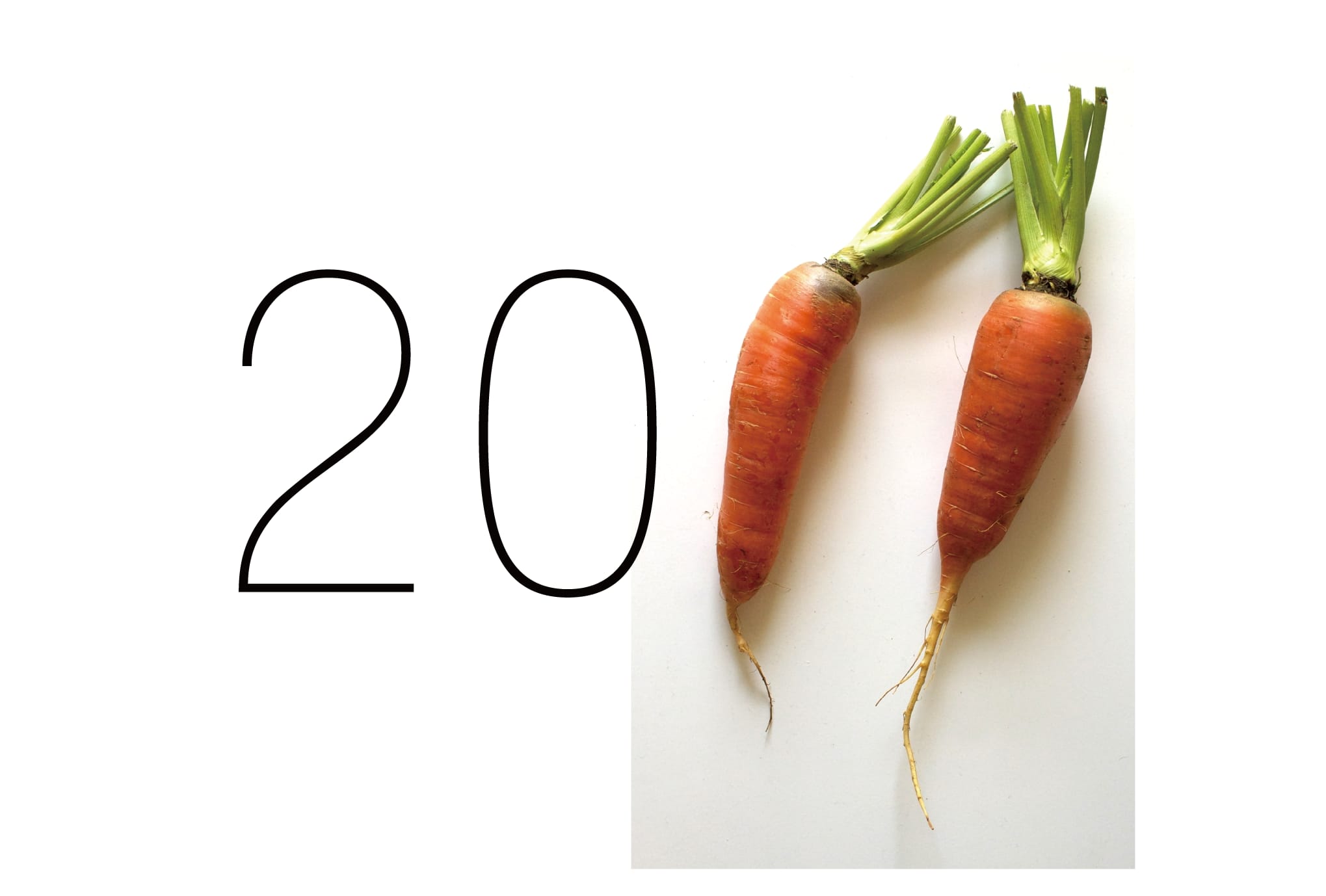 2011年賀状23：Carrot 2011のダウンロード画像